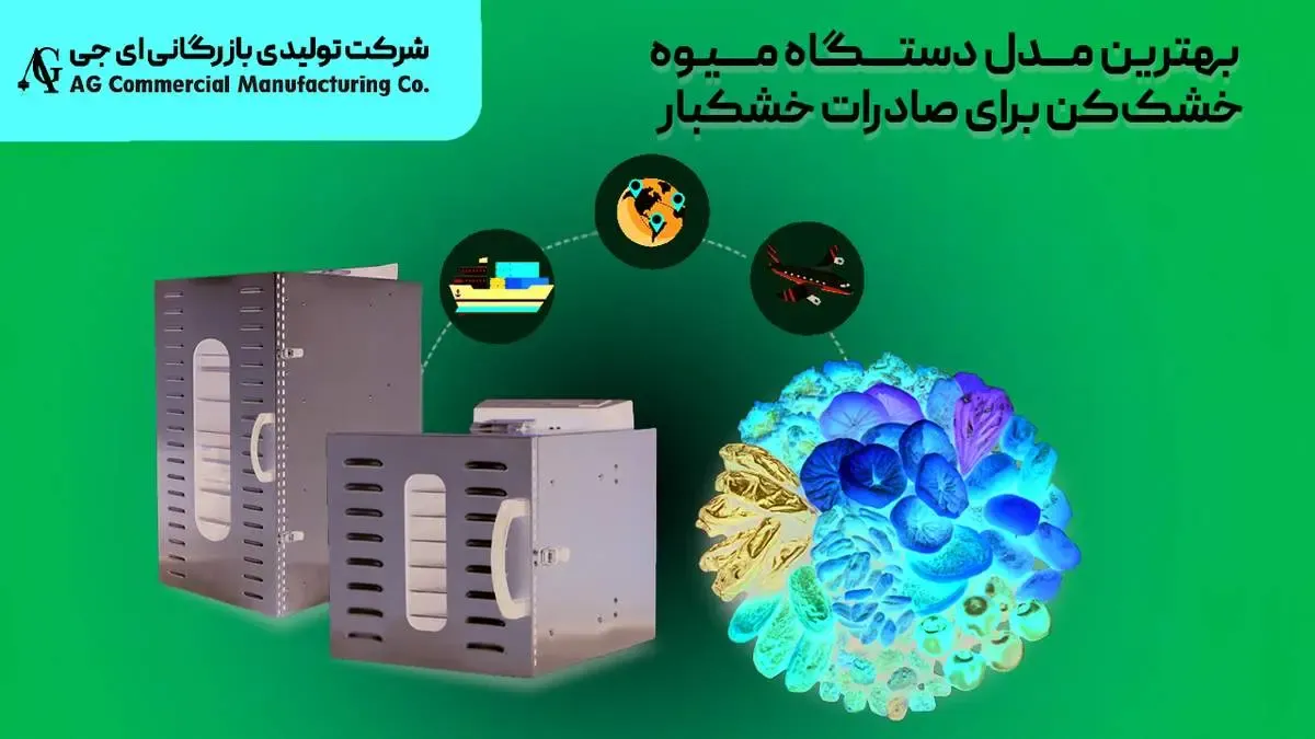 بهترین مدل دستگاه میوه خشک‌کن برای صادرات خشکبار