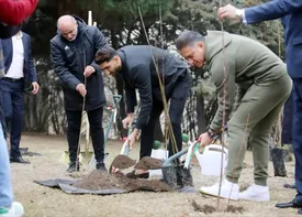 علیرضا بیرانوند درخت کاشت/ عکس