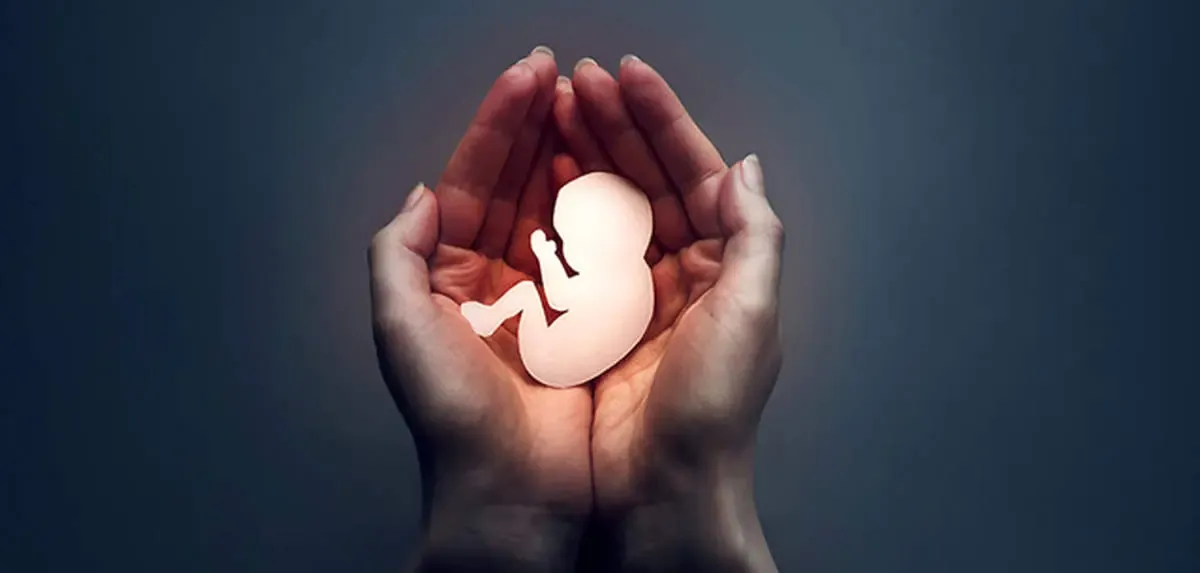 رصد نتیجه آزمایش زنان باردار مصداق  نقص حریم شخصی است | جرم انگاری سقط  این فرآیند را زیرزمینی کرده است