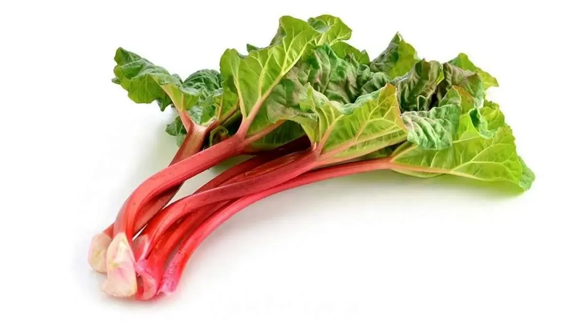 این افراد ریواس نخورند