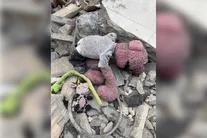 دلنوشته جناب‌خان برای صاحب عروسک مانده در آوار؛ دردت به جون مُو باشه