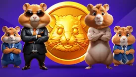 همستر کامبت نقد شد/ همه چیز در مورد برداشت توکن و انتخاب کیف پول