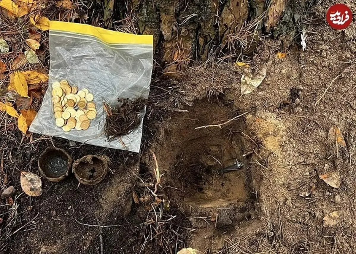 کشف گنجینه‌ای از سکه‌های طلای آمریکایی و روسی+ عکس