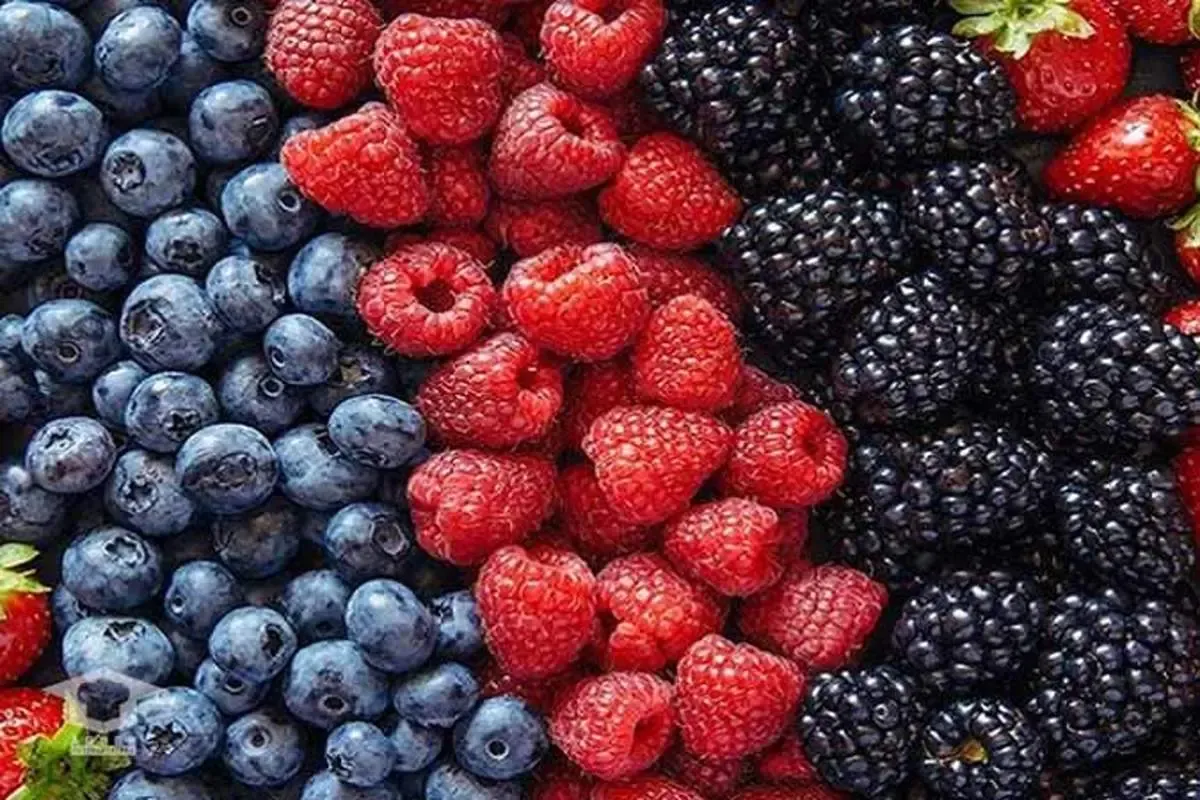 خواص سلامت‌بخش انواع توت