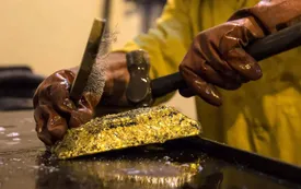 قیمت طلا در قله گرانی