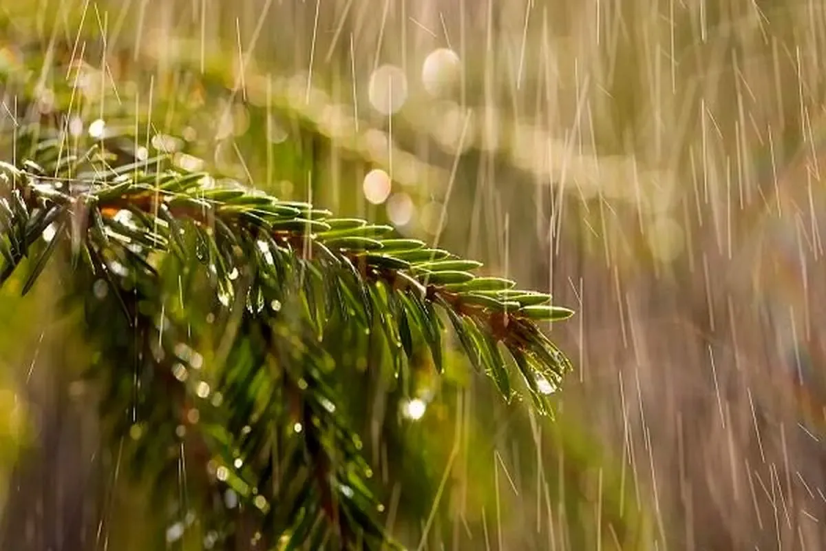 هشدار جدی به تهرانی‌ها