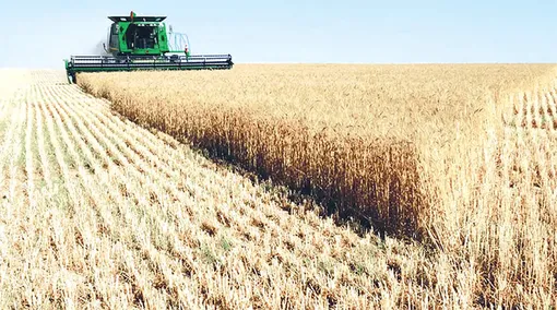 کارنامه تجارت محصولات کشاورزی دوماهه نخست 1400