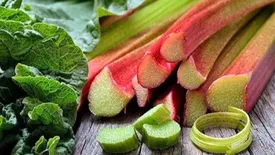 ریواس سبزی فصل بهار را فراموش نکنید