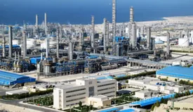 مارون در صادرات محصولات خود رکورد زد