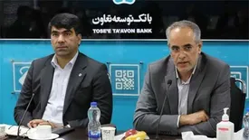 شرکت های تابعه بانک توسعه تعاون باید به عنوان بازوهای تخصصی و اجرایی بانک باشند