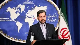 در « وین» پیشرفت‌هایی حاصل شده است / در حال برطرف کردن موانع ورود واکسن از هند هستیم