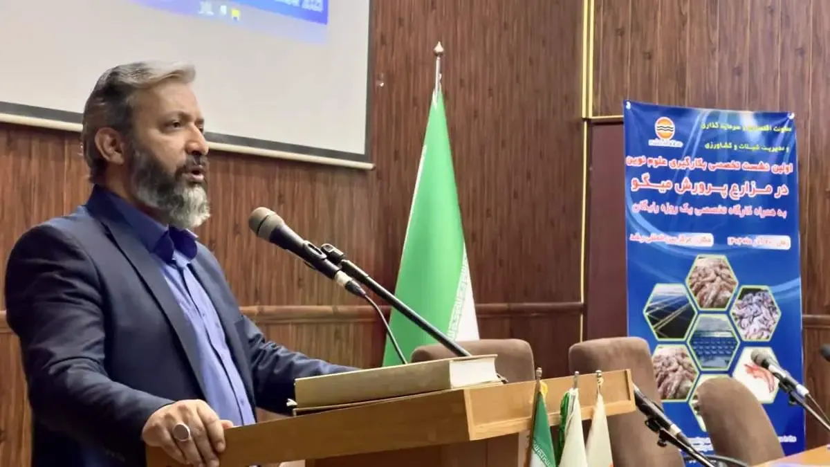 بکارگیری علوم نوین در پرورش میگو یک الزام است