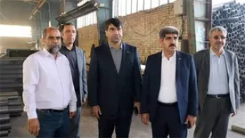 بازدید سرپرست بانک توسعه تعاون از طرحهای اقتصادی استان مرکزی