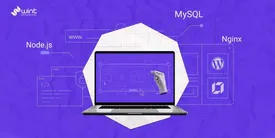 از دیده شدن تا فروش بیشتر: وینت، راهکارهای دیجیتال مارکتینگ برای کسب‌وکار شما