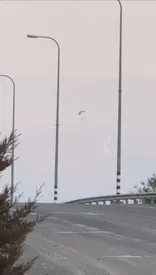 چتربازان حزب‌الله وارد اسرائیل شدند / ببینید