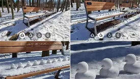 مقایسه دوربین گلکسی S21 Ultra با دوربین DSLR در عکاسی از منظره