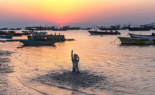 ایرانِ ما؛ جزیره شیف‎/عکس: افسانه جعفری