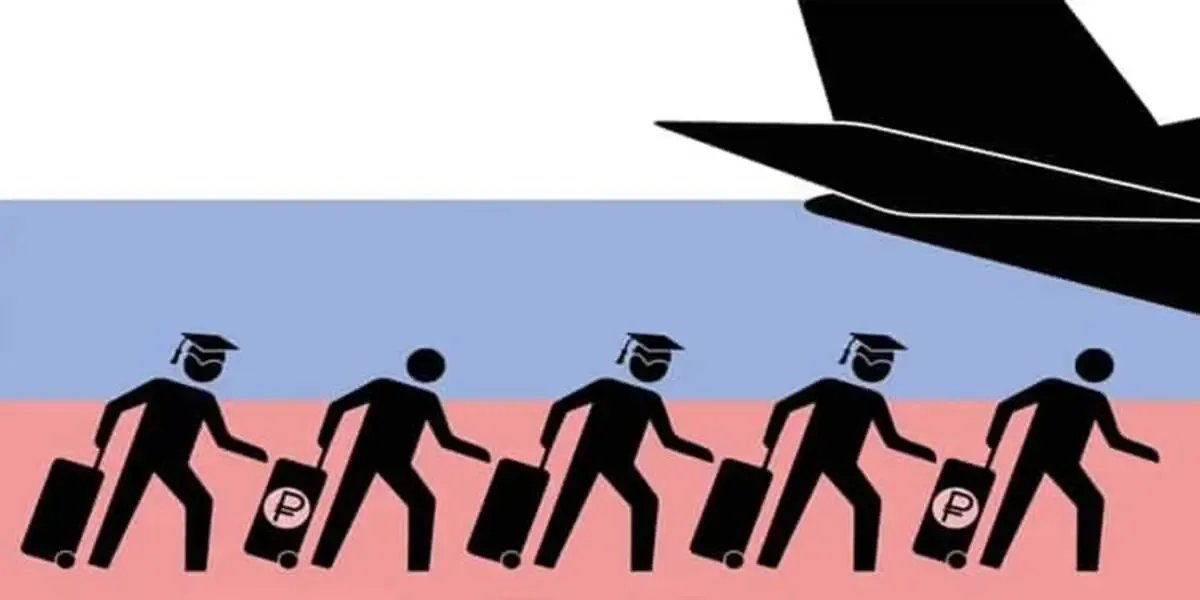 آمار و ارقام  تاسف‌بار از نرخ مهاجرت دانشگاهیان | چند درصد رتبه‌های برتر از ایران رفته‌اند؟