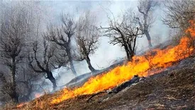 اعزام بالگرد برای مهار حریق در جنگل‌های مریوان/ زبانه آتش در بیش از ۲۰۰ هکتار