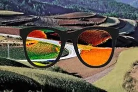 این گروه فقط رنگ سیاه و سفید رو می‌بینند