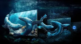 قدم گذاشتن به دنیای 8k با تلویزیون‌های Neo QLED سامسونگ