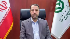 ضرورت رفع مشکلات پرداخت وام های ارزی به شرکت های بزرگ