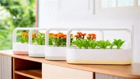 حال وهوای پرورش گیاهان و سبزیجات در خانه با محصول نوآورانه و پر طرفدار LG tiiun