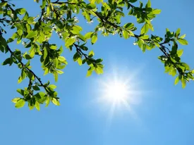 هواشناسی / گرد و خاک مهمان این مناطق می‌شود