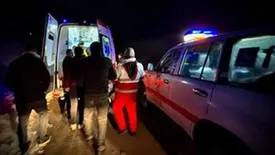 حمله گرگها در سلماس/ سه نفر مصدوم شدند