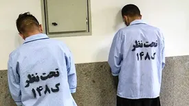 جزئیات دستگیری زورگیران خشن پایتخت با 150 فقره زورگیری