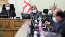 دکتر شایان: عملکرد بانک مسکن برای تامین مالی طرح نهضت ملی مطلوب است