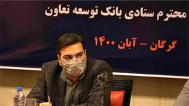 نقش بانک توسعه تعاون در شکل گیری الگو ها و نمونه های موفق تعاونی ها