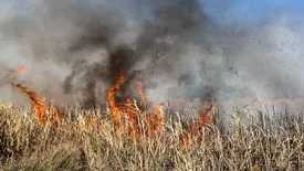 هور عظیمی که سالیانی است میسوزد