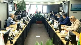 هدایت سود فولاد مبارکه به طرح های توسعه / برنامه های توسعه ای فولاد مبارکه تا مرحله جهانی شدن، پیش رود