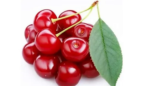 خواص بی‌نظیر «آلبالو»