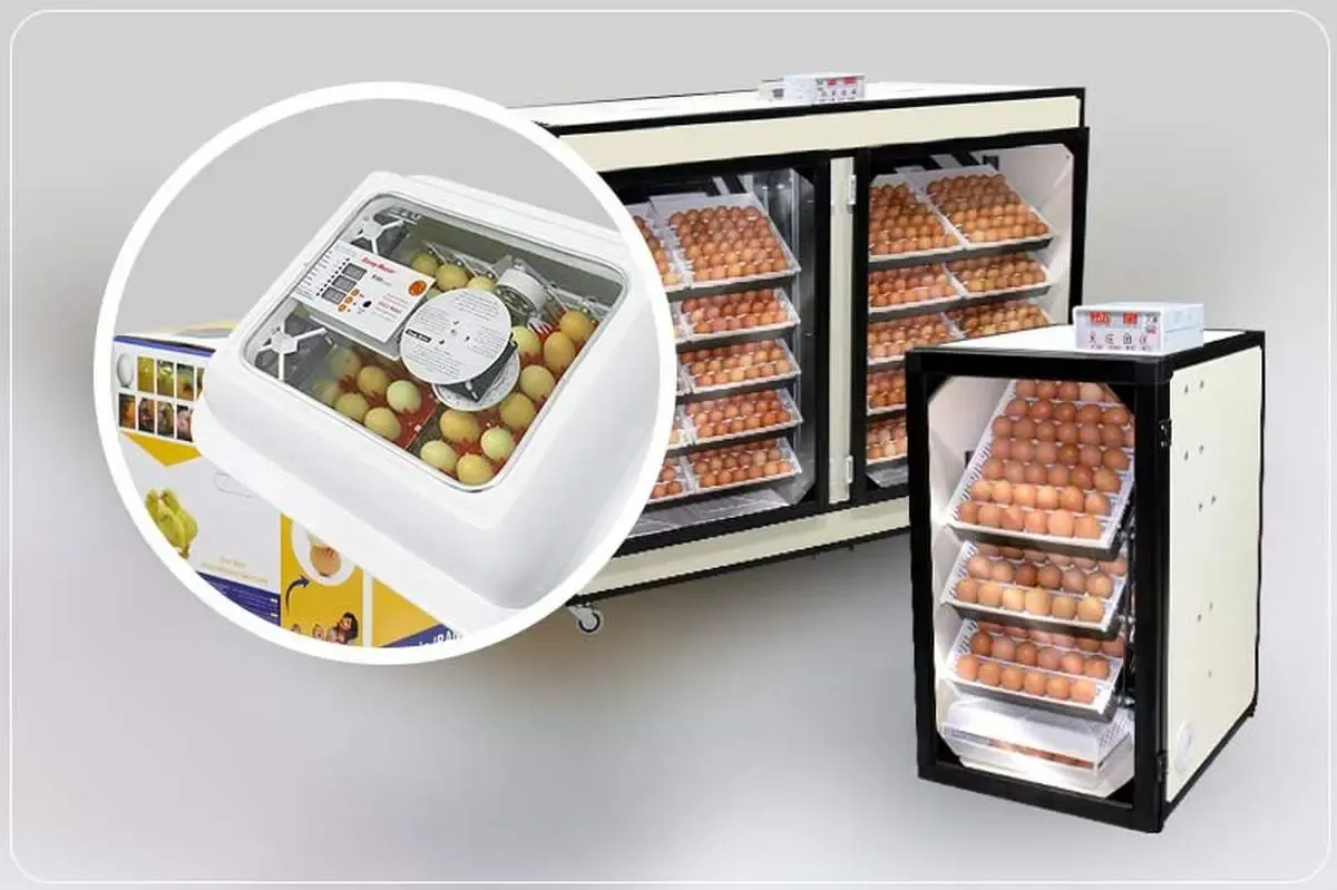 مقایسه انواع دستگاه جوجه کشی موجود در بازار