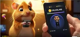 کارت پروفیت بالای همستر کمبات آمد/ عکس