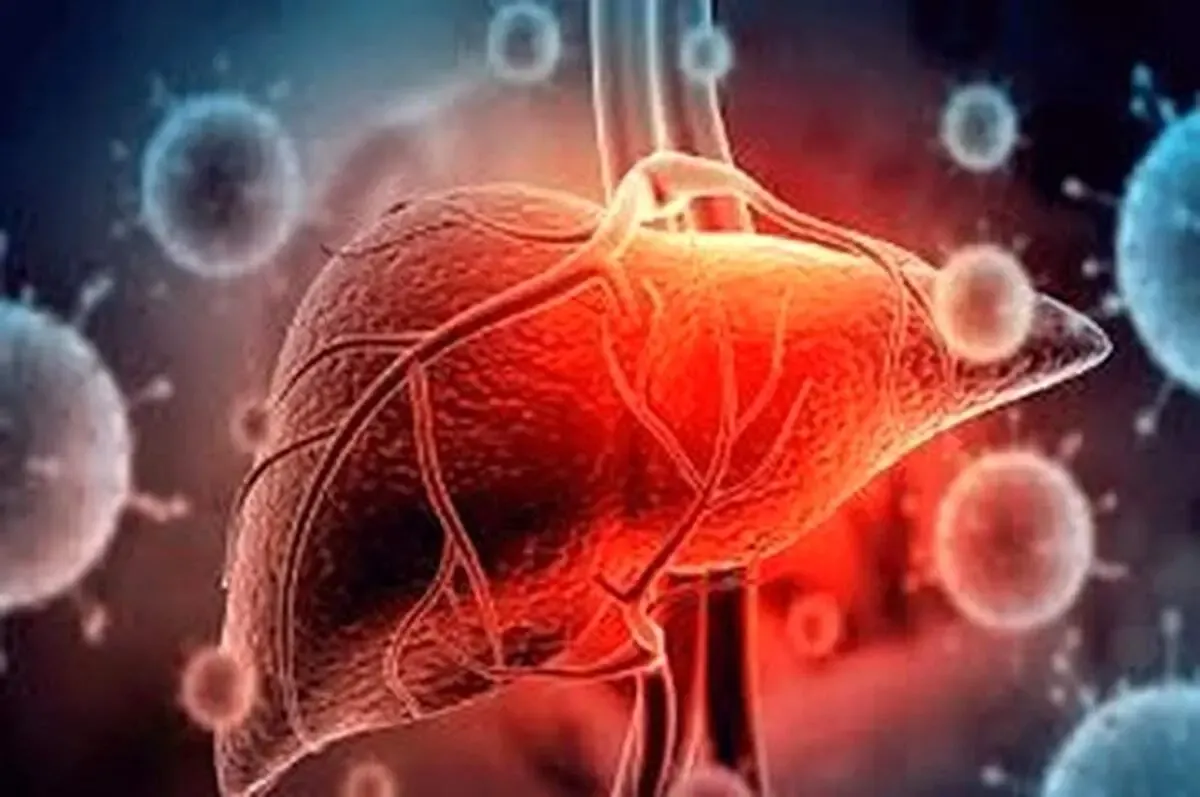 مکمل‌های ضروری برای سلامت کبد؛ راهنمای انتخاب بهترین‌ها