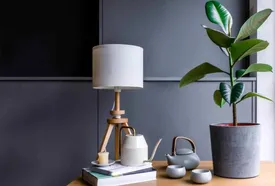 با این گل های آپارتمانی به جنگ آلودگی هوا بروید!