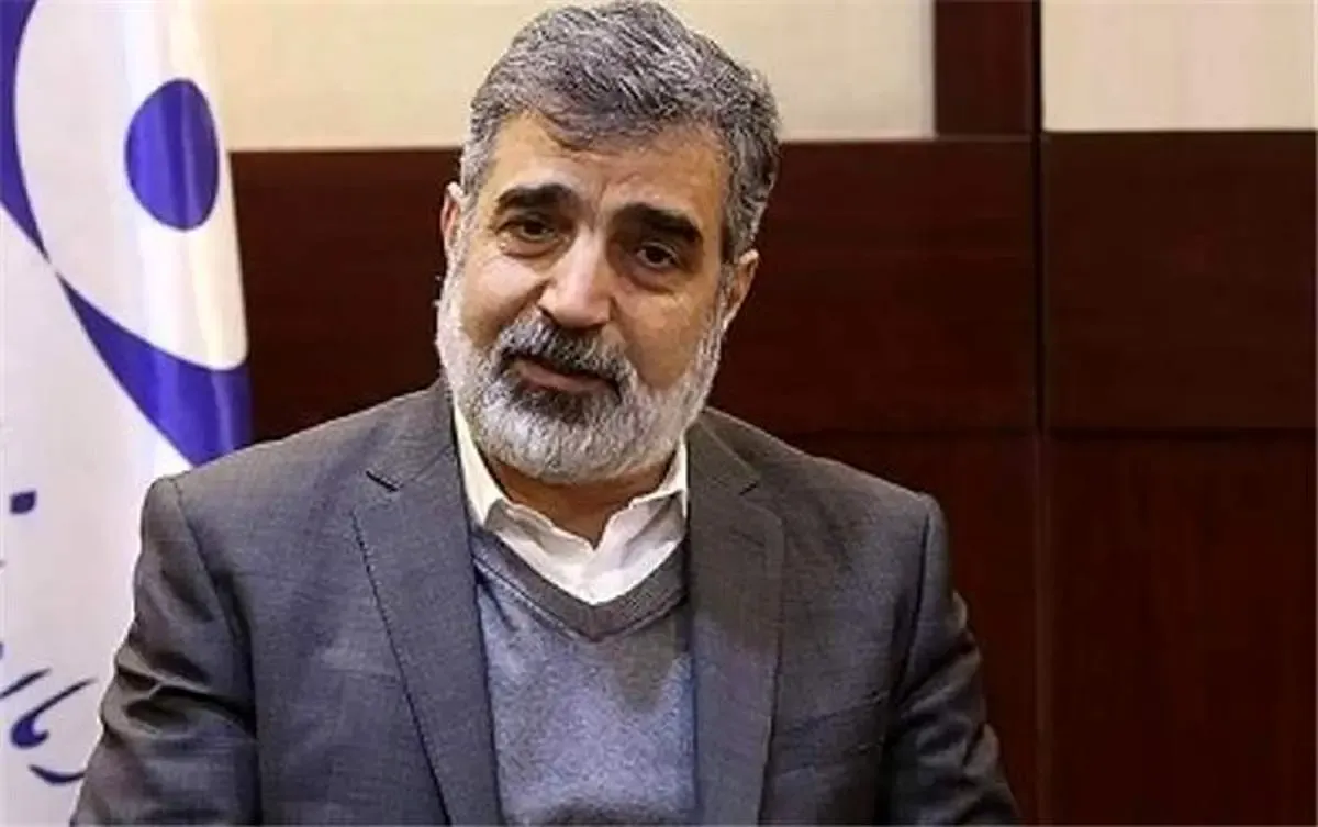 کمالوندی: توطئه در جریان است؛ آژانس گناهکار است / دیدن ۲ ذره زیر میکروسکوپ به منزله غنی سازی ۸۰ درصدی نیست / بخواهیم بیشتر غنی‌سازی کنیم اعلام می‌کنیم