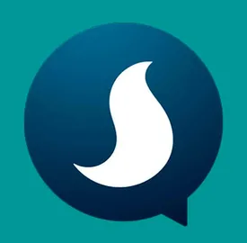 مدیرعامل پیام رسان «سروش» بازداشت و به قید وثیقه آزاد شد