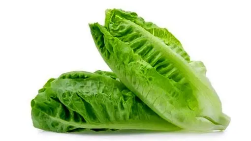 فواید «کاهو» برای بیماران دیابتی