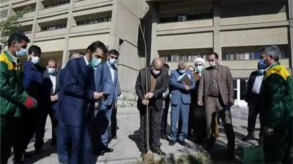 وزیر کشور در روز درختکاری یک نهال غرس کرد