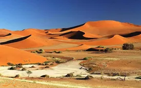 هشدار سازمان ملل درباره خشک شدن زمین | هوش مصنوعی برای نجات از بحران به کمک می‌آید؟