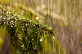 بارش شدید باران سه شنبه تا پنجشنبه ۱۸ اردیبهشت‌ماه در این مناطق/ سرما در تهران