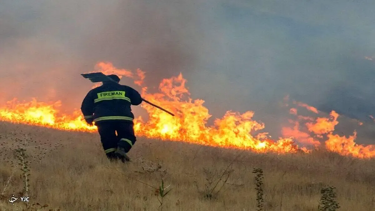 تالاب حسنلو در آذربایجان غربی آتش گرفت