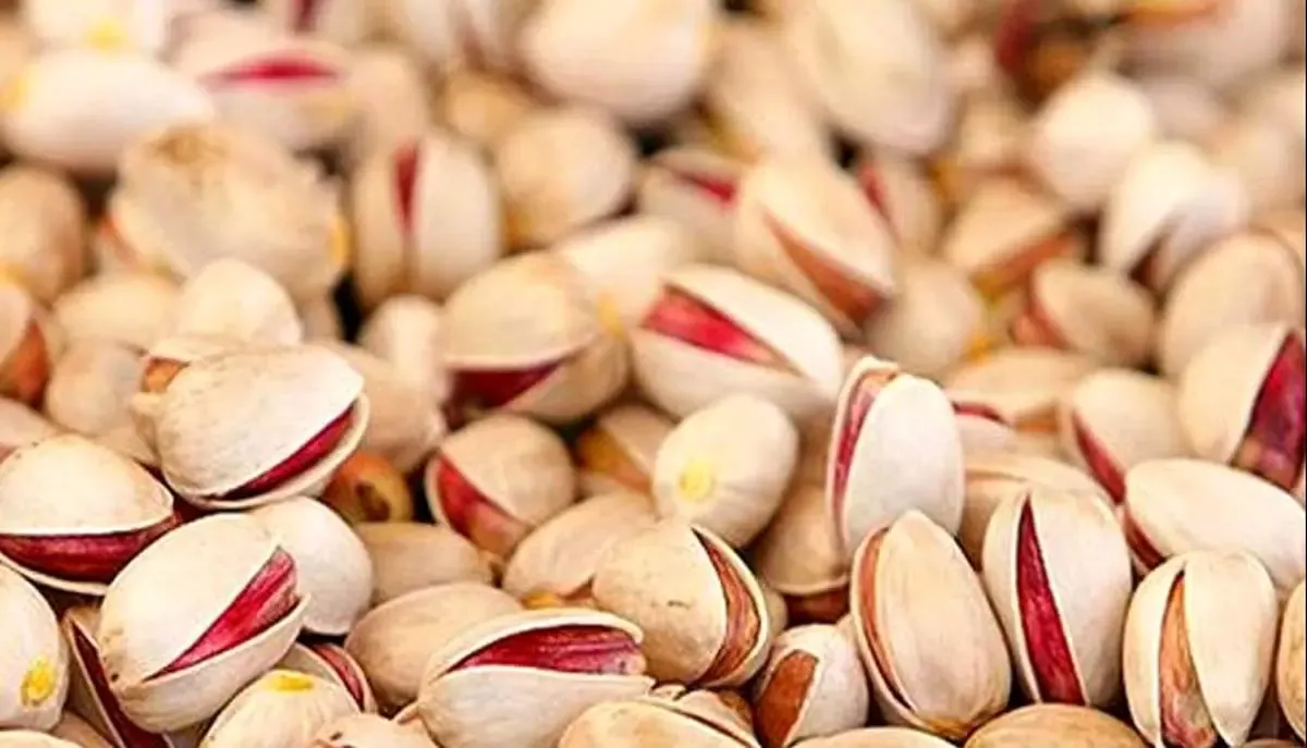 پسته ارزان شد