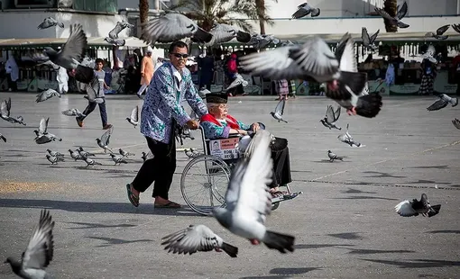 حضور ملیت‎ها در سرزمین وحی/عکس: محمدحسین ولایتی