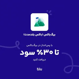 بدون مراجعه به شعبه، با سرمایه‌گذاری در باکس بلندمدت بلو تا 30% سود سالانه دریافت کنید