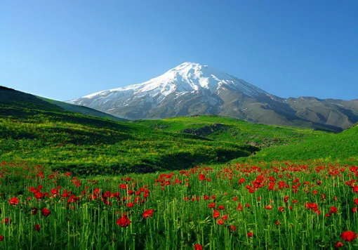 اولین برف پاییزی روی دماوند نشست/ عکس